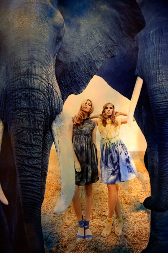 http://lenakrupp.com/files/gimgs/th-13_Johanna_Krupp_The_Blue_Hour-004.jpg
