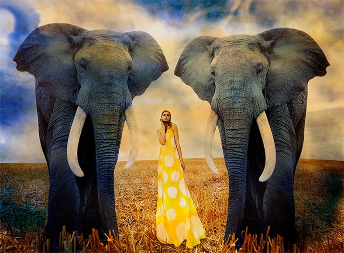 http://lenakrupp.com/files/gimgs/th-13_Johanna_Krupp_The_Blue_Hour-007.jpg