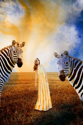 http://lenakrupp.com/files/gimgs/th-13_Johanna_Krupp_The_Blue_Hour-012.jpg