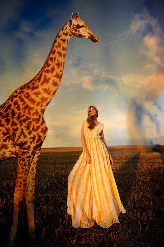 http://lenakrupp.com/files/gimgs/th-13_Johanna_Krupp_The_Blue_Hour-005.jpg