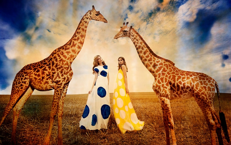 http://lenakrupp.com/files/gimgs/th-13_Johanna_Krupp_The_Blue_Hour-002.jpg